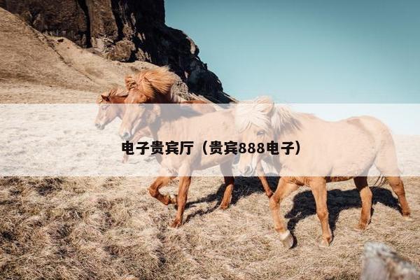 电子贵宾厅（贵宾888电子）