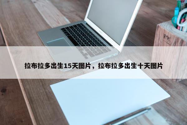 拉布拉多出生15天图片，拉布拉多出生十天图片