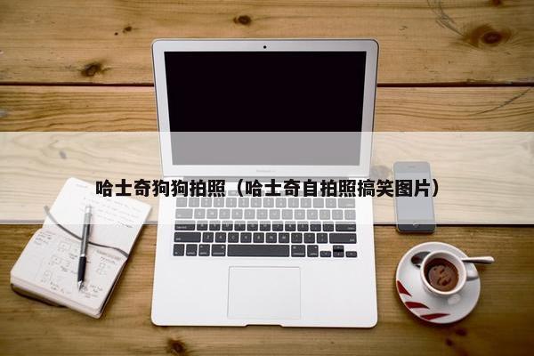 哈士奇狗狗拍照（哈士奇自拍照搞笑图片）