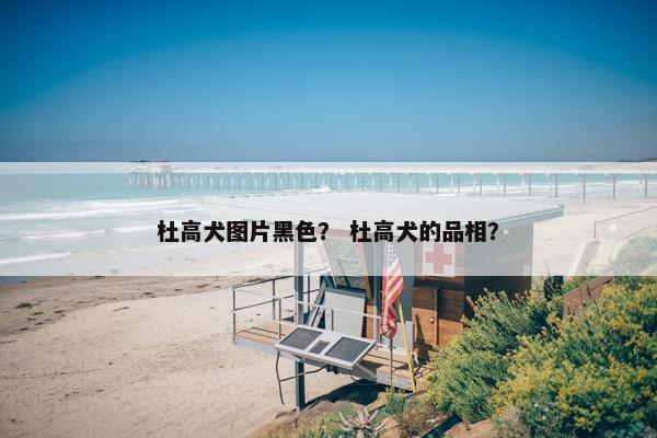 杜高犬图片黑色？ 杜高犬的品相？