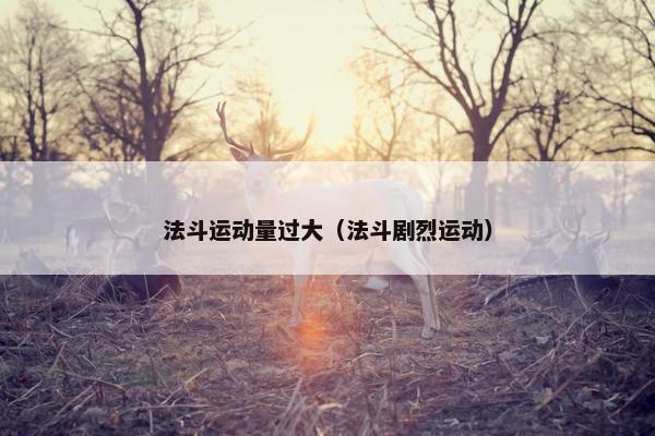 法斗运动量过大（法斗剧烈运动）