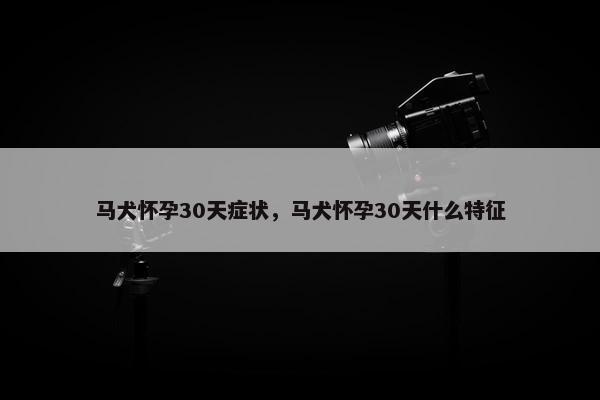 马犬怀孕30天症状，马犬怀孕30天什么特征