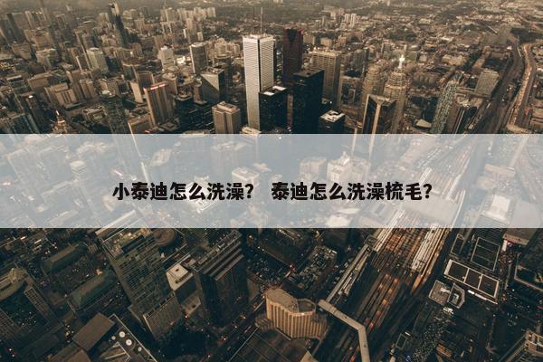 小泰迪怎么洗澡？ 泰迪怎么洗澡梳毛？