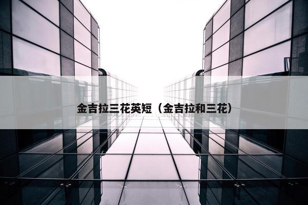 金吉拉三花英短（金吉拉和三花）