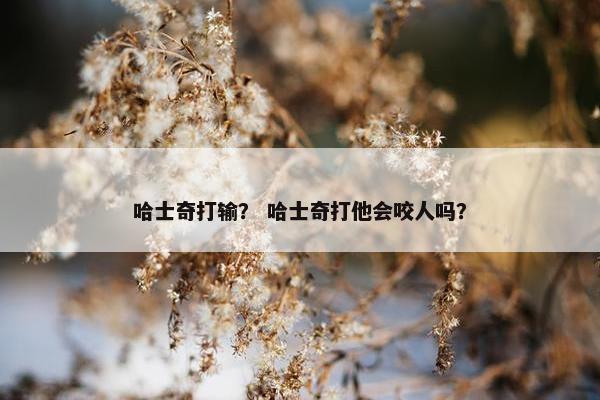 哈士奇打输？ 哈士奇打他会咬人吗？