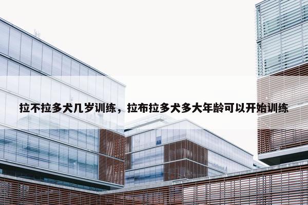 拉不拉多犬几岁训练，拉布拉多犬多大年龄可以开始训练