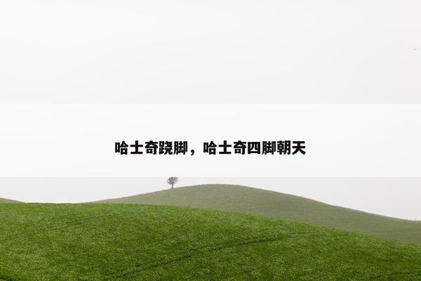 哈士奇跷脚，哈士奇四脚朝天