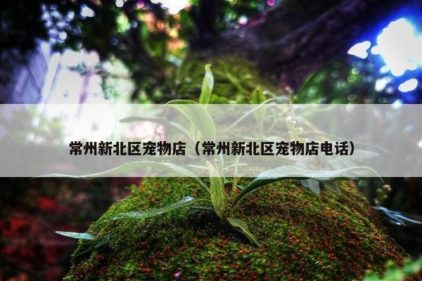 常州新北区宠物店（常州新北区宠物店电话）