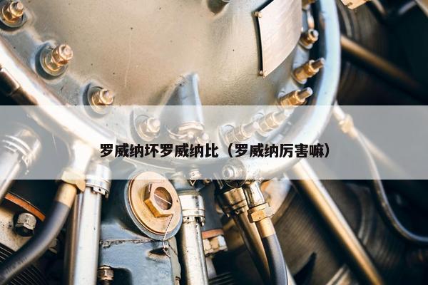 罗威纳坏罗威纳比（罗威纳厉害嘛）