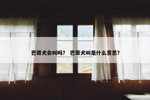 巴哥犬会叫吗？ 巴哥犬叫是什么意思？