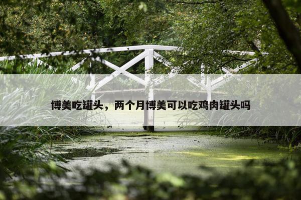 博美吃罐头，两个月博美可以吃鸡肉罐头吗