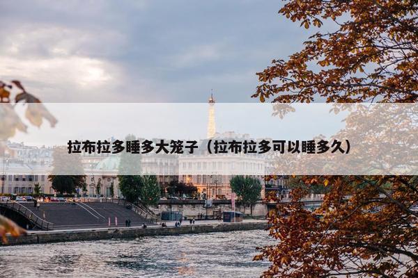 拉布拉多睡多大笼子（拉布拉多可以睡多久）
