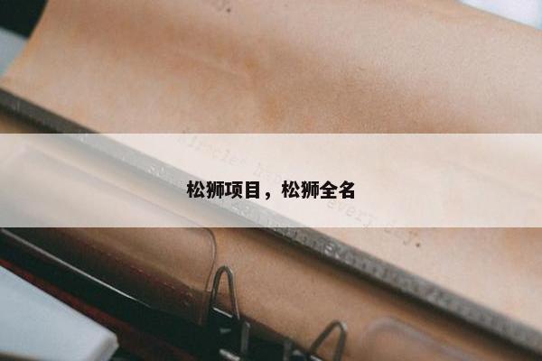 松狮项目，松狮全名