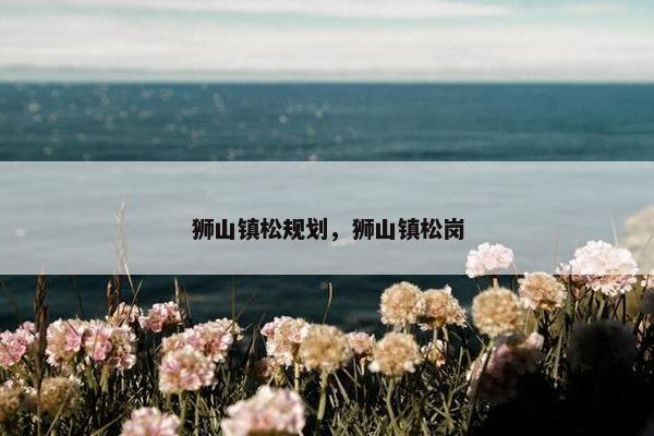狮山镇松规划，狮山镇松岗