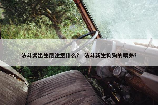 法斗犬出生后注意什么？ 法斗新生狗狗的喂养？