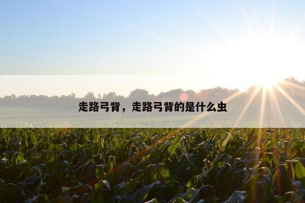 走路弓背，走路弓背的是什么虫
