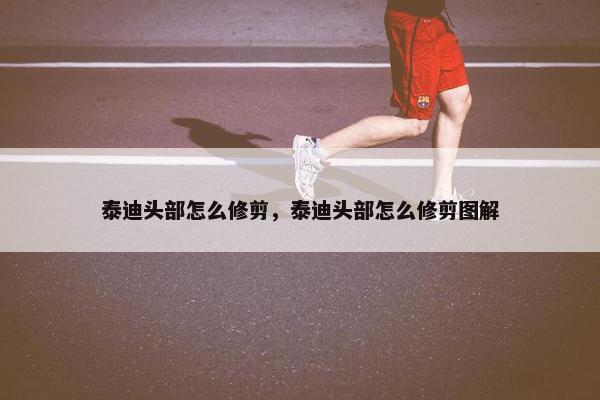 泰迪头部怎么修剪，泰迪头部怎么修剪图解