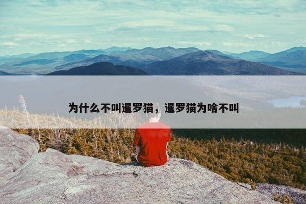为什么不叫暹罗猫，暹罗猫为啥不叫