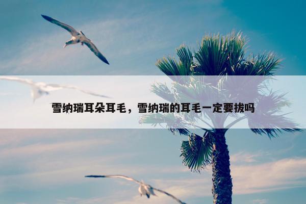 雪纳瑞耳朵耳毛，雪纳瑞的耳毛一定要拔吗