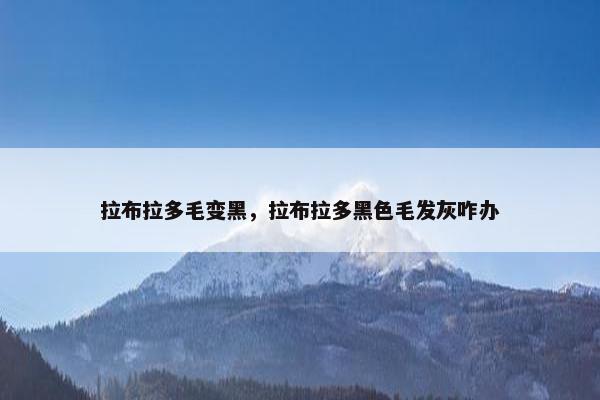 拉布拉多毛变黑，拉布拉多黑色毛发灰咋办