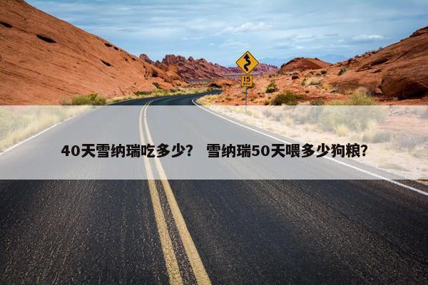 40天雪纳瑞吃多少？ 雪纳瑞50天喂多少狗粮？
