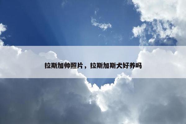 拉斯加帅照片，拉斯加斯犬好养吗