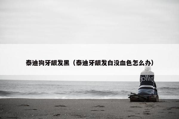 泰迪狗牙龈发黑（泰迪牙龈发白没血色怎么办）
