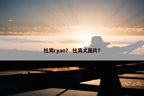 杜宾ryan？ 杜宾犬图片？
