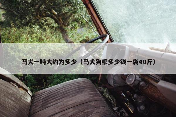 马犬一吨大约为多少（马犬狗粮多少钱一袋40斤）