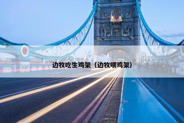 边牧吃生鸡架（边牧喂鸡架）