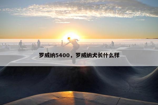 罗威纳5400，罗威纳犬长什么样