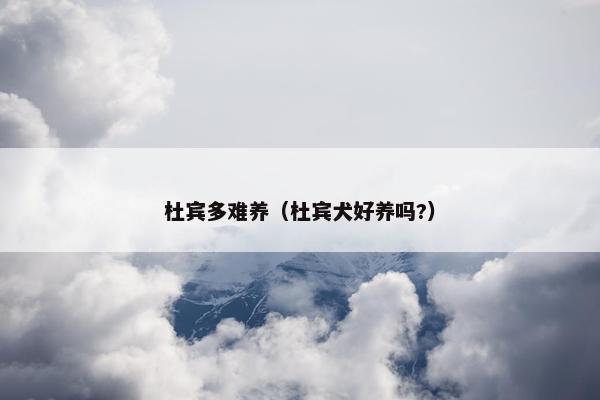 杜宾多难养（杜宾犬好养吗?）