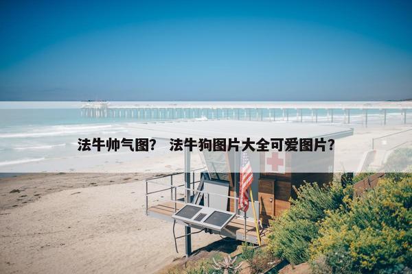 法牛帅气图？ 法牛狗图片大全可爱图片？