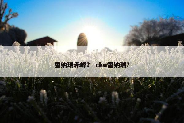 雪纳瑞赤峰？ cku雪纳瑞？