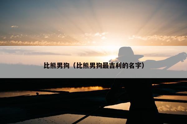 比熊男狗（比熊男狗最吉利的名字）