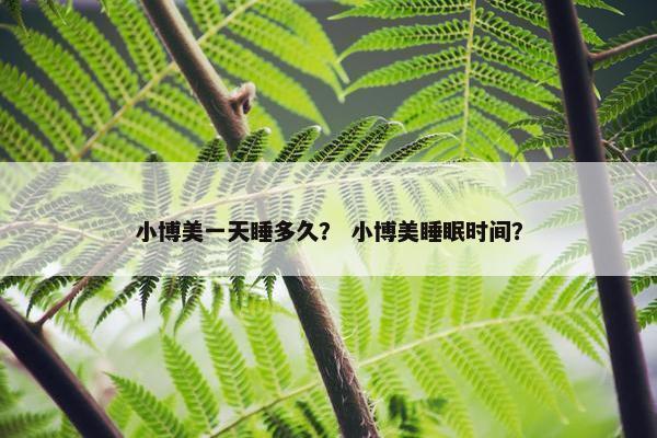 小博美一天睡多久？ 小博美睡眠时间？