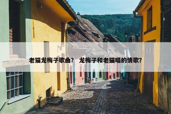 老猫龙梅子歌曲？ 龙梅子和老猫唱的情歌？