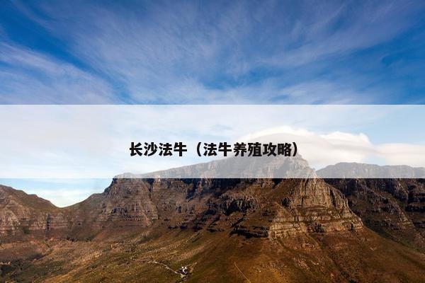 长沙法牛（法牛养殖攻略）