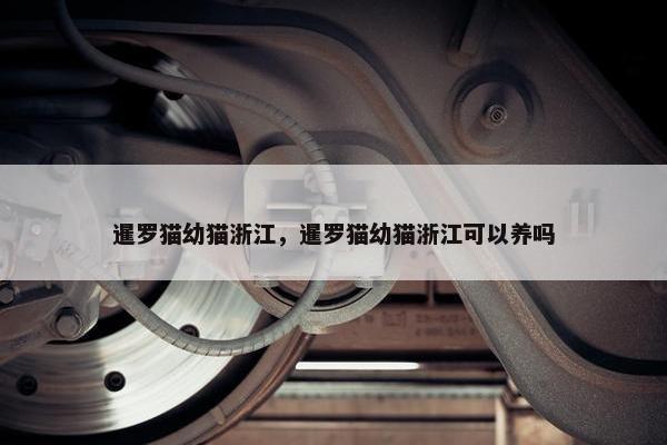 暹罗猫幼猫浙江，暹罗猫幼猫浙江可以养吗