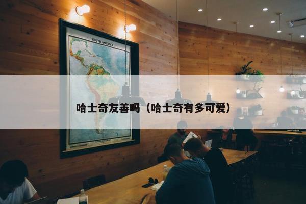 哈士奇友善吗（哈士奇有多可爱）