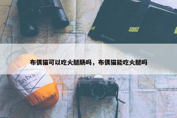 布偶猫可以吃火腿肠吗，布偶猫能吃火腿吗