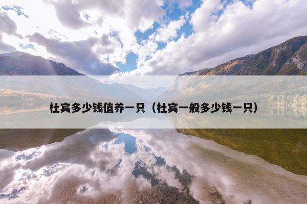 杜宾多少钱值养一只（杜宾一般多少钱一只）