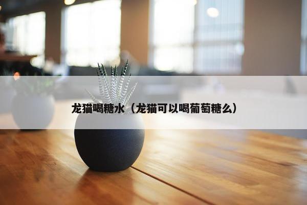 龙猫喝糖水（龙猫可以喝葡萄糖么）