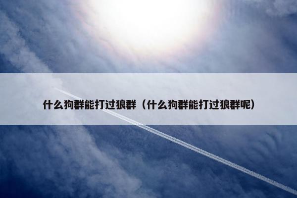 什么狗群能打过狼群（什么狗群能打过狼群呢）