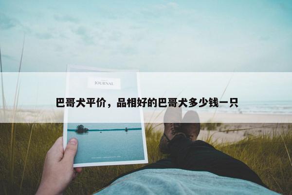 巴哥犬平价，品相好的巴哥犬多少钱一只