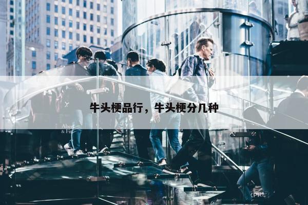 牛头梗品行，牛头梗分几种