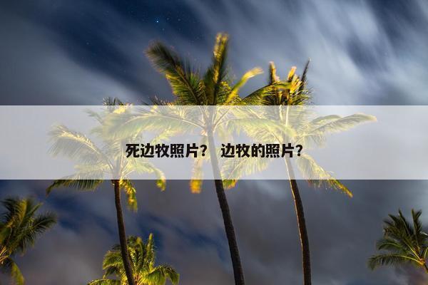 死边牧照片？ 边牧的照片？