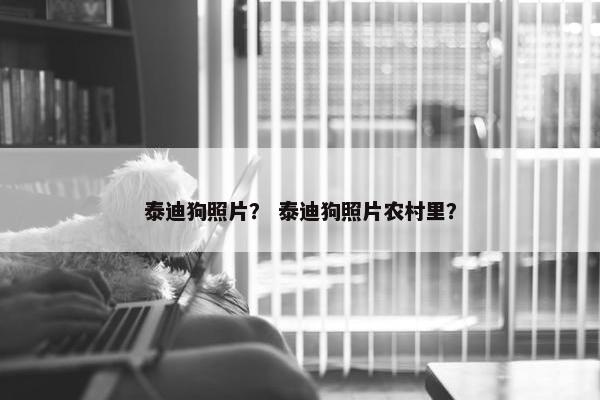 泰迪狗照片？ 泰迪狗照片农村里？