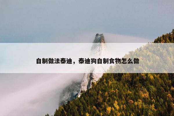 自制做法泰迪，泰迪狗自制食物怎么做