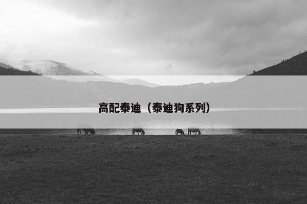 高配泰迪（泰迪狗系列）